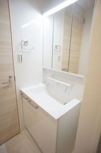 Ｖｉｔａ　Ｓｏｌｅ　Ａｎｎｏ A11号-8