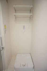 Ｖｉｔａ　Ｓｏｌｅ　Ａｎｎｏ A11号-9