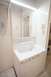 Ｖｉｔａ　Ｓｏｌｅ　Ａｎｎｏ A23号-8