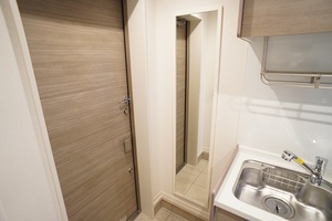 ＡＬＶＩＮＥＳＳ　Ｄ　Ｋｏｍａｇｏｍｅ 101号-2