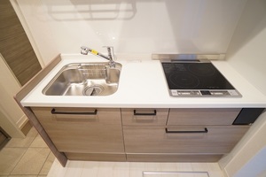 ＡＬＶＩＮＥＳＳ　Ｄ　Ｋｏｍａｇｏｍｅ 101号-4