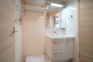 ＡＬＶＩＮＥＳＳ　Ｄ　Ｋｏｍａｇｏｍｅ 101号-5