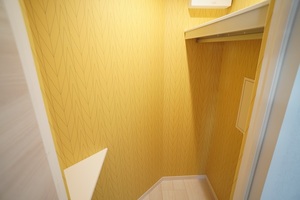 ＡＬＶＩＮＥＳＳ　Ｄ　Ｋｏｍａｇｏｍｅ 101号-11