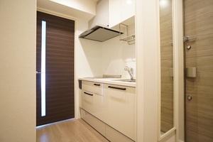 ALVINESS D Komagome 402号-4