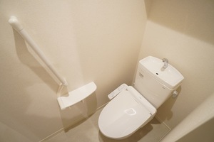 ALVINESS D Komagome 402号-8