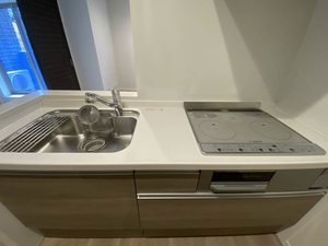 レフィシア南池袋 201号-6