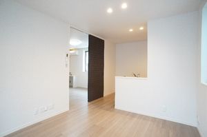 レフィアント 101号-2