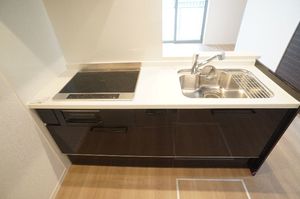 レフィアント 101号-3