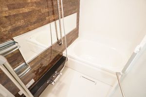 セルディナやくも 302号-10