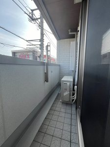 アストロフィラ 203号-9