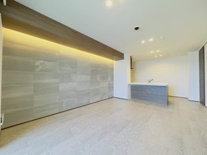 メディルーブ目白台 302号-3