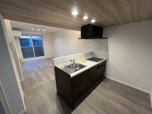 ベルタスⅣ 202号-4