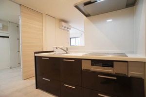 アビタシオン碑文谷 202号-3