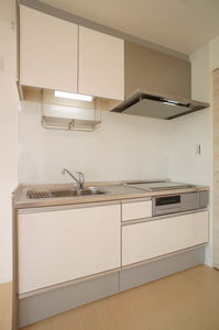 ベルニナ 301号-7