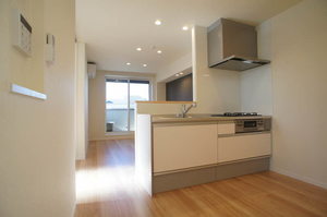 プレミアス武蔵小山 301号-2