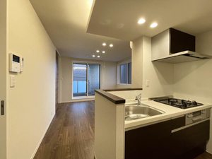 クレスティーク白金台 203号-3