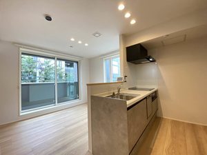 リヴィオ クレール 203号-3