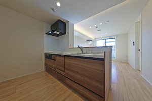 フェリシード野沢 206号-4