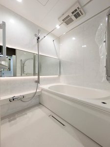 メゾン　ド　ミューズ 302号-8