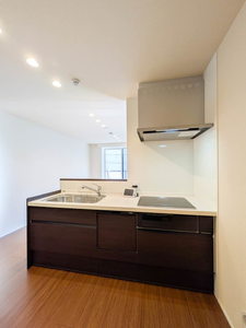 カッシーナ 大井 201号-4