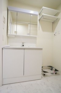 レーヴマニフィック平井 201号-9