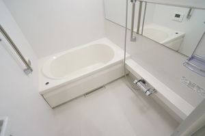 レーヴマニフィック平井 301号-8