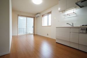LUCE A号-7