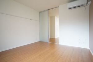 LUCE A号-8