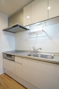 FINEVIEW 小岩 301号-4