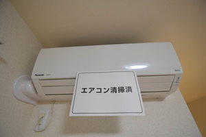 Ｗｉｔｈ　Ａｅｒａ 101号-10