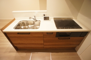 グリナージュ谷中 101号-3