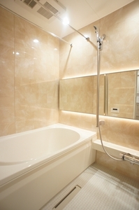 Ｐｌｕｍｅ　Ｒｅｓｉｄｅｎｃｅ　東日暮里 301号-6