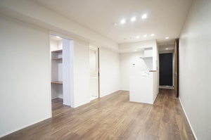 Ｐｌｅａｓｕｒｅ　Ｂｒｉｇｈｔ 302号-5