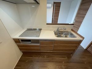 リヨン千代田 305号-3