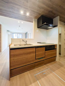 アルビオン コート 102号-4