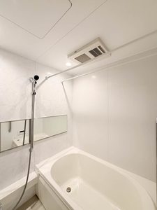 グリナージュ　リリア 301号-10