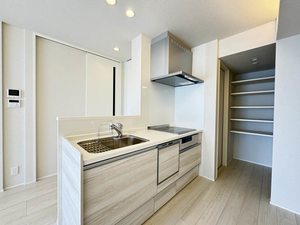 グリナージュ　リリア 403号-3