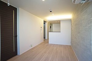 プラムメゾン 201号-3