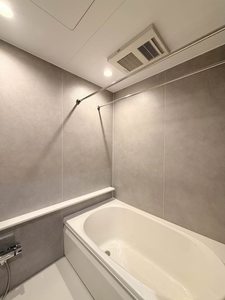 ラピスラズリ 101号-10