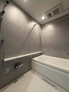 ラピスラズリ 202号-9