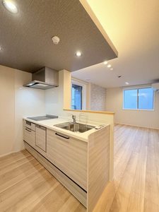 ラピスラズリ 205号-3