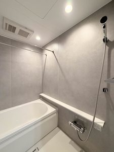 ラピスラズリ 205号-9