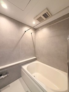 ラピスラズリ 303号-10