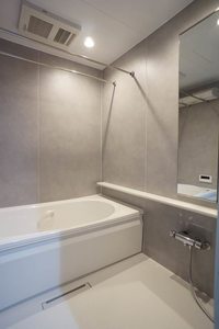 シャーメゾン925浅草橋 302号-7