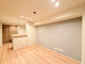 フェリーチェ 102号-2