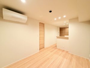 フェリーチェ 102号-3