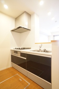 ヴェルジェ ワイエス 105号-4