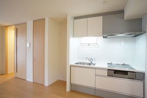 ＡＲＴ　ＳＰＨＥＲＥ　Ｋｏｋｕｂｕｎｊｉ 201号-3