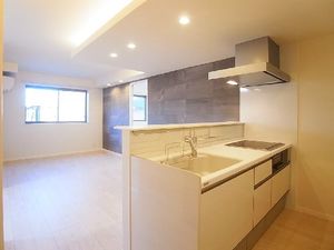 レフィアント 203号-2