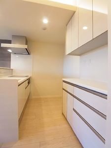 レフィアント 203号-3